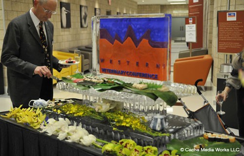 Gallery Picture